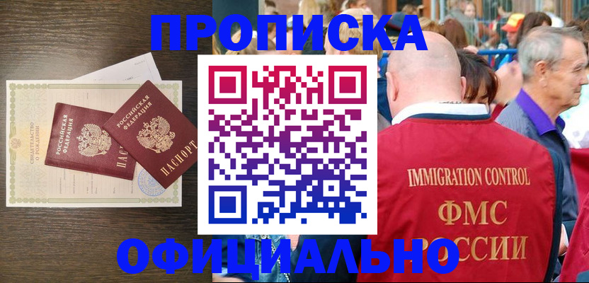 прописка 2025 в Купино